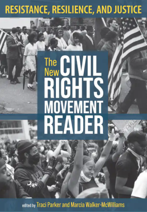 Book cover for The New Civil Rights Movement Reader